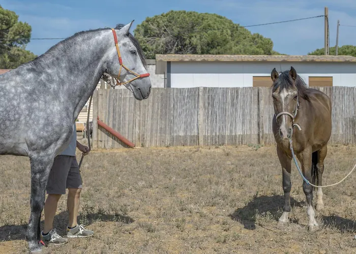 Casa Sofia * コニル・デ・ラ・フロンテラ