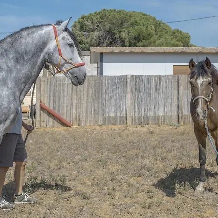 Casa Sofia * 科尼尔-德拉弗龙特拉