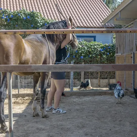 Casa Sofia * 科尼尔-德拉弗龙特拉