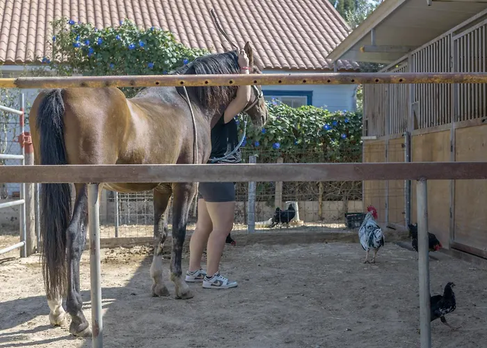 Casa Sofia * 科尼尔-德拉弗龙特拉